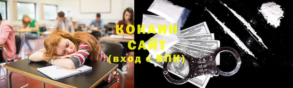 соль ск Белокуриха