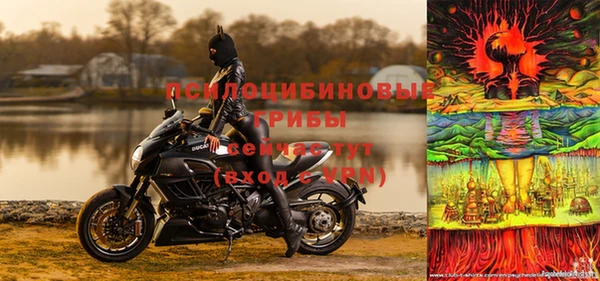 трава Беломорск