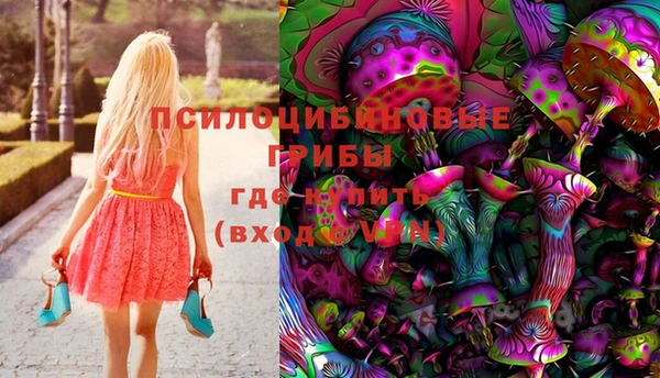 трава Беломорск