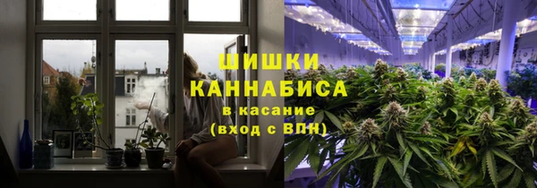соль ск Белокуриха