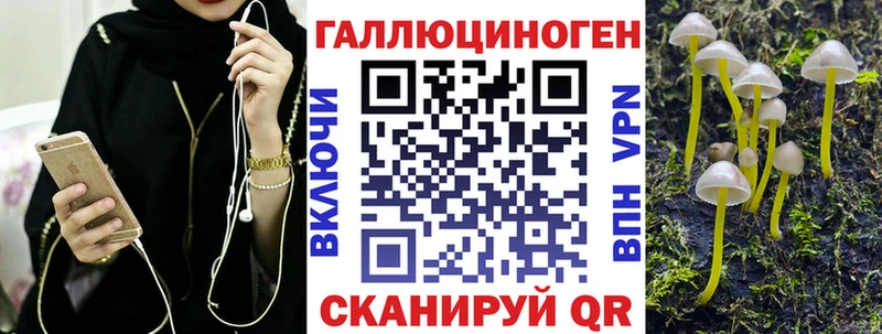blacksprut tor  Верхняя Пышма  Псилоцибиновые грибы Cubensis 