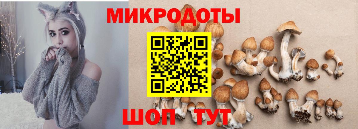 Галлюциногенные грибы MAGIC MUSHROOMS  Вход с VPN  Верхняя Пышма 